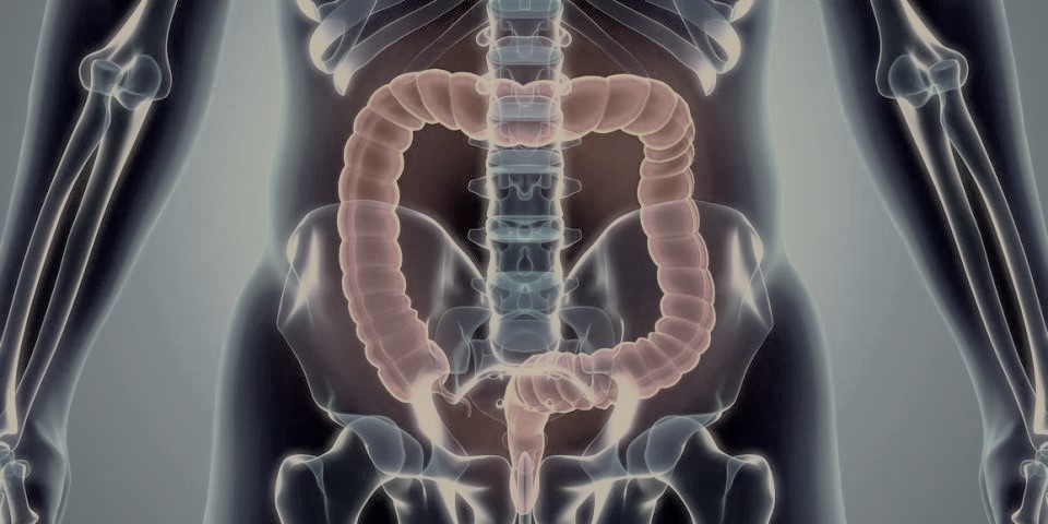 SOINS DU COLON